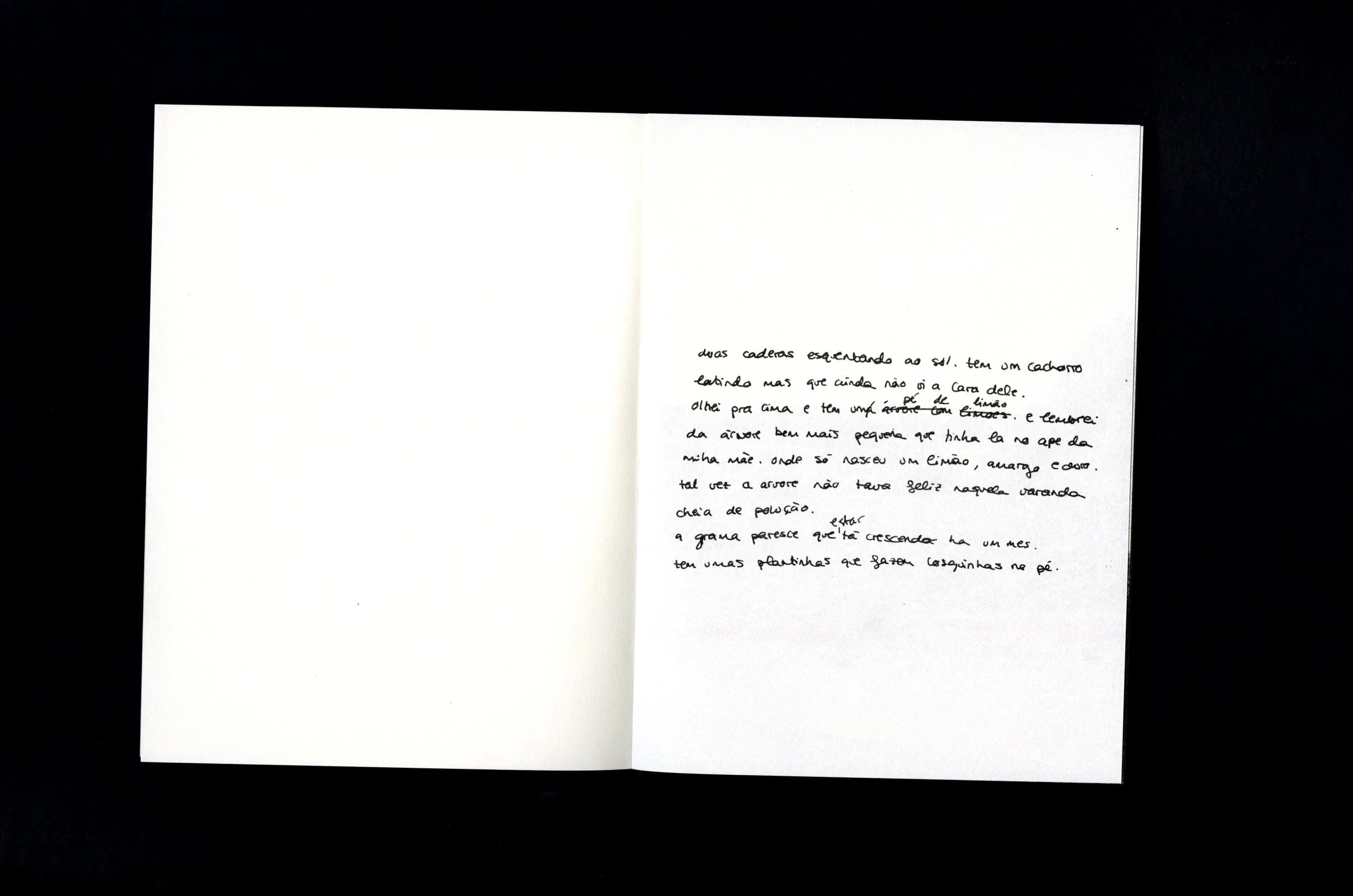 iara copy 6.JPG