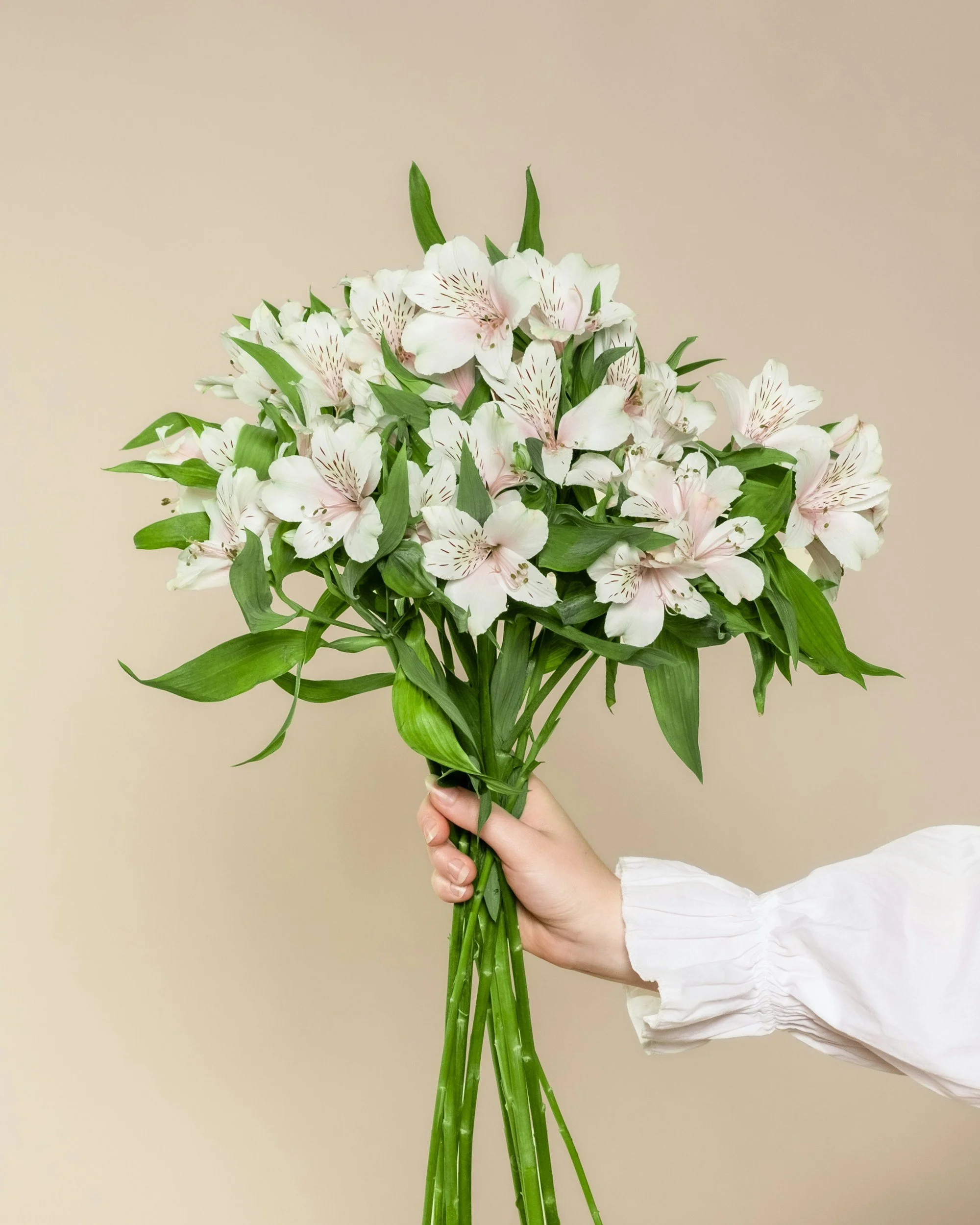 A person holding a bouquet of pale pink and white lilies with green leaves against a beige background.