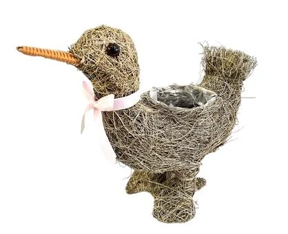 DUCK HUSK.jpg