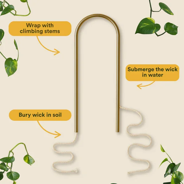 Brass_Hardware.webp