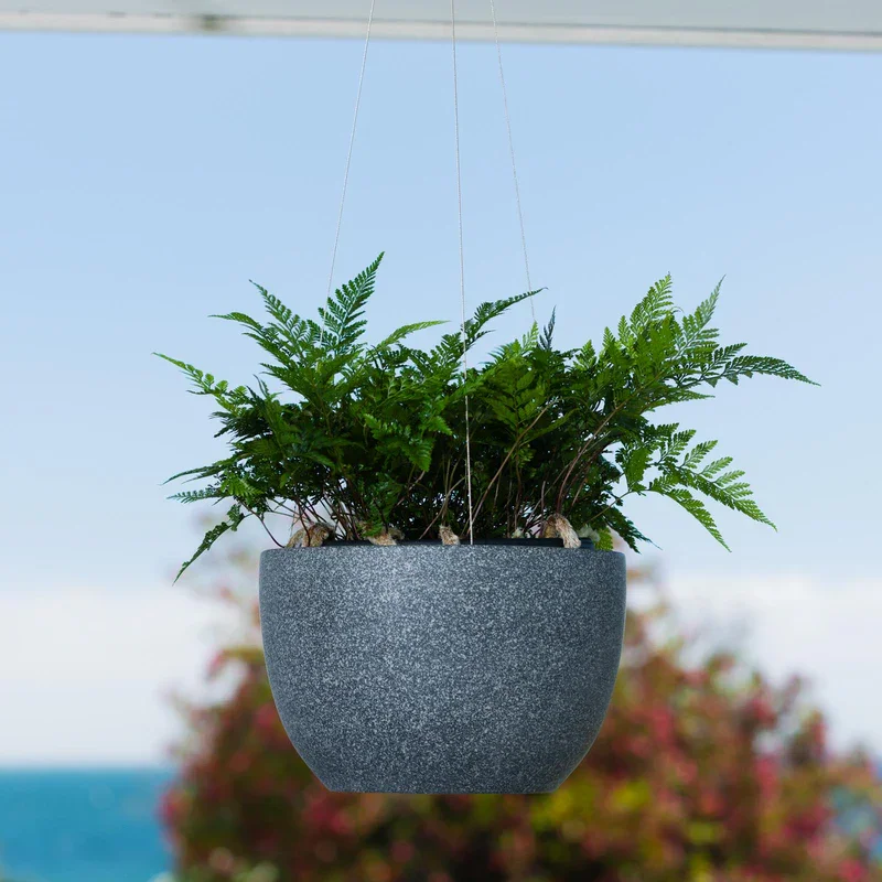 CL261026-CHAAlderHangingPot_INSITU_2_WEB.webp