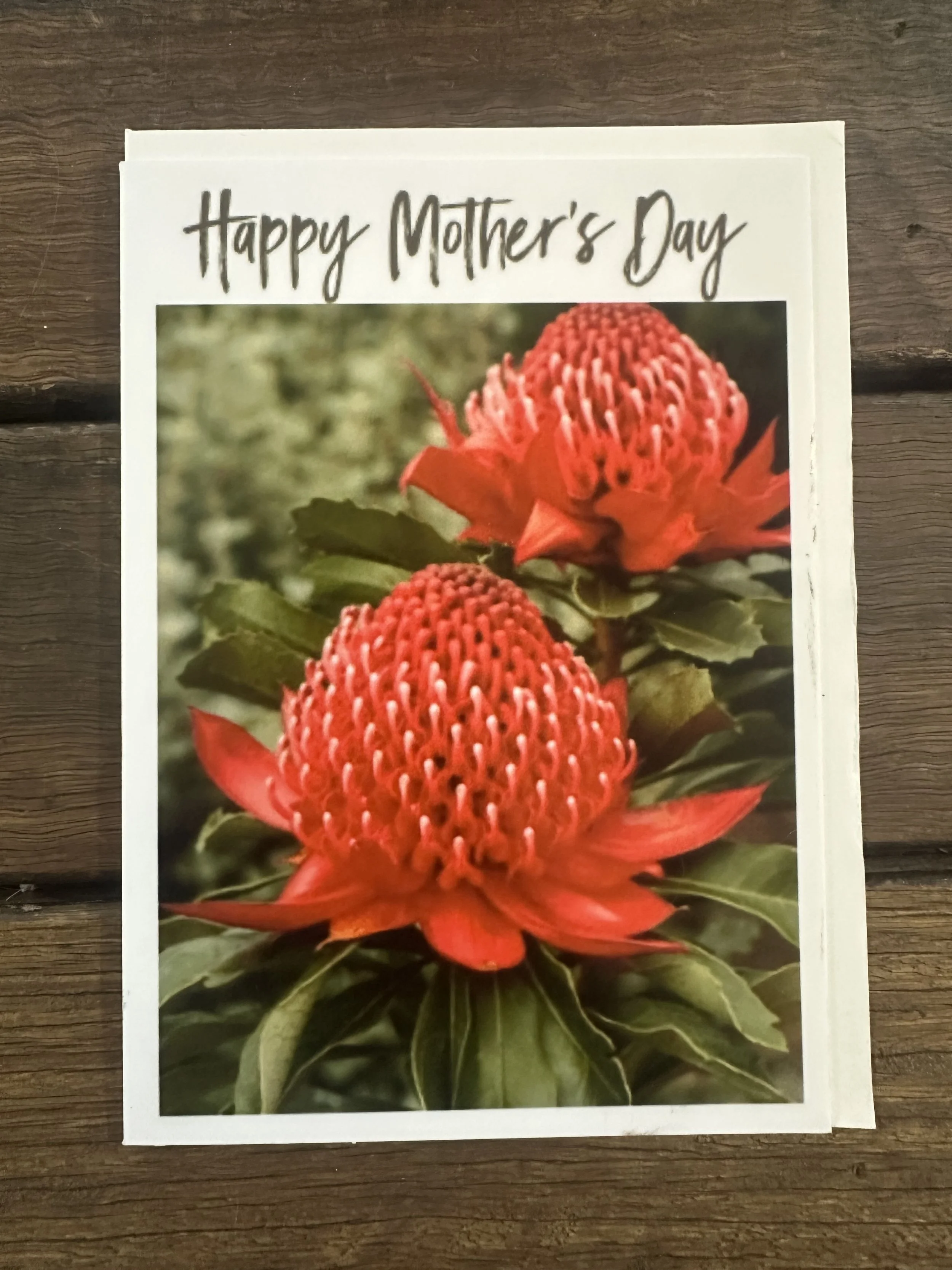 Large Greeting Cards