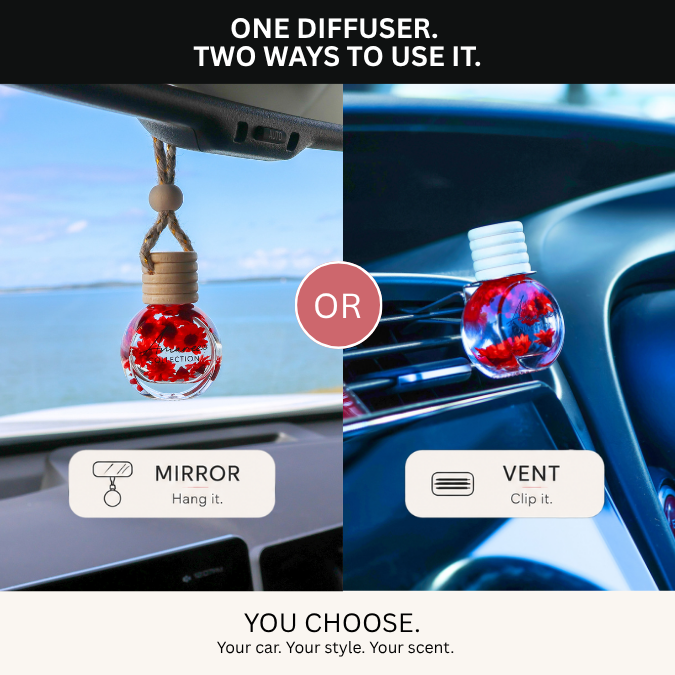 2in1_Black_Raspberry_Vanilla_Car_Diffuser.png