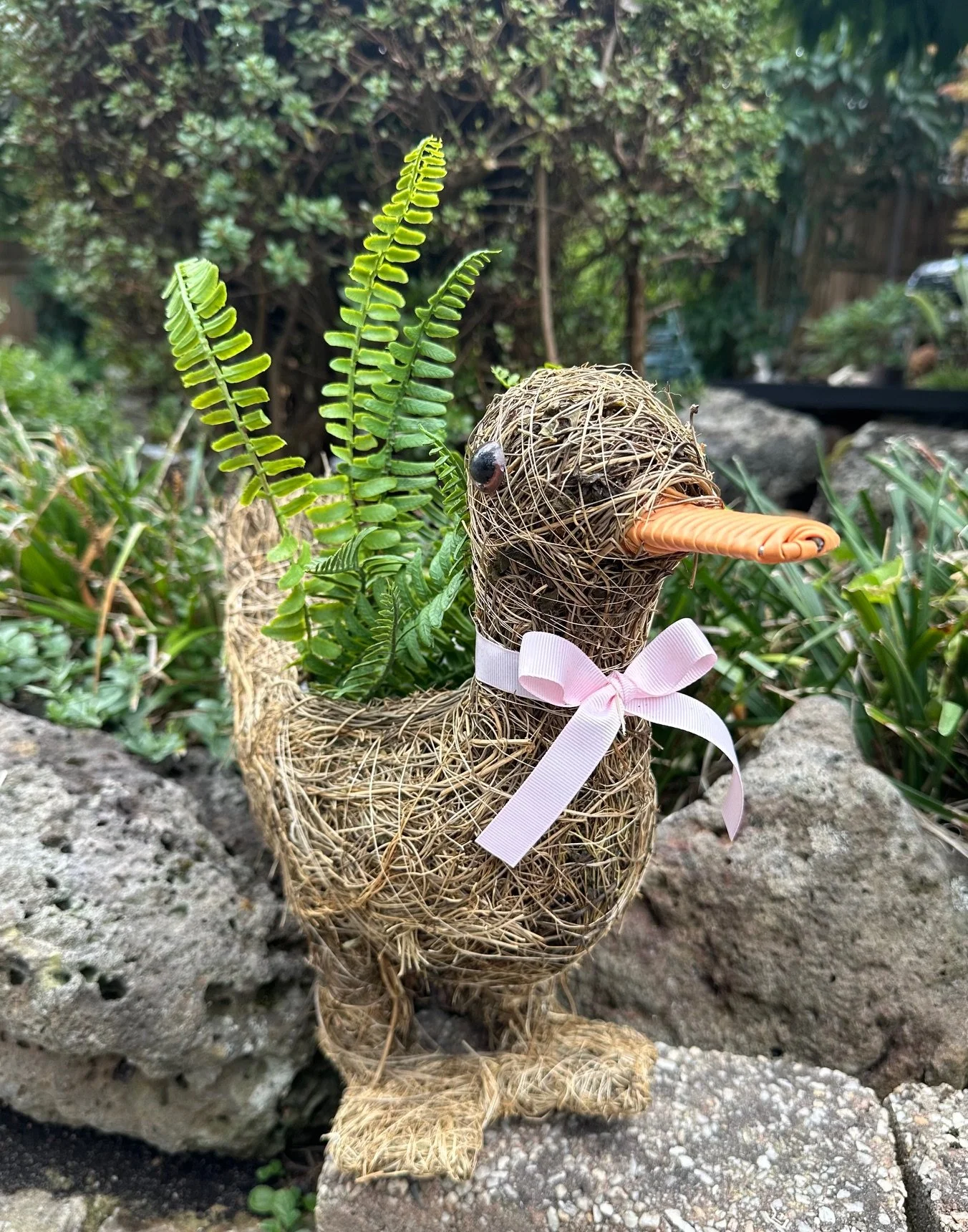DUCK HUSK 2.jpg