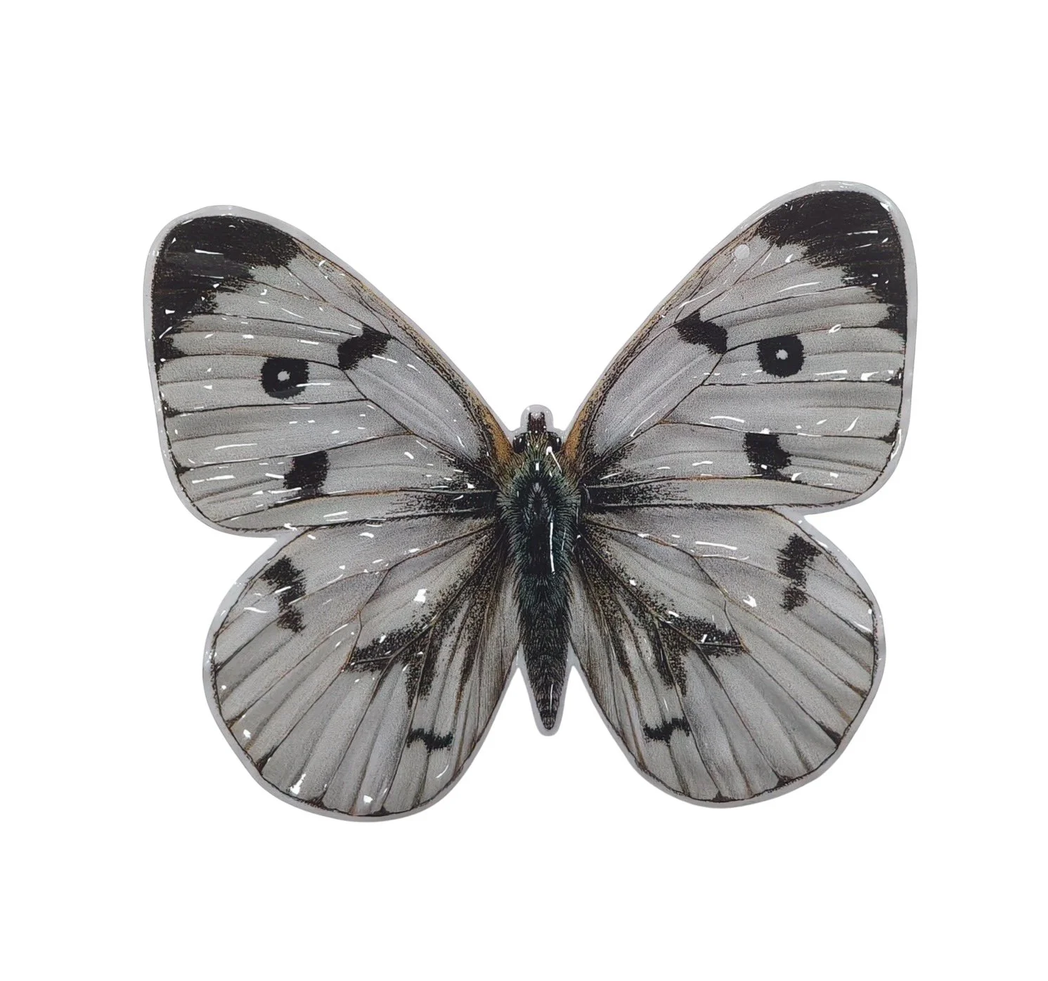 Butterfly Magnet