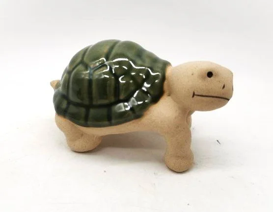 turtle.jpg