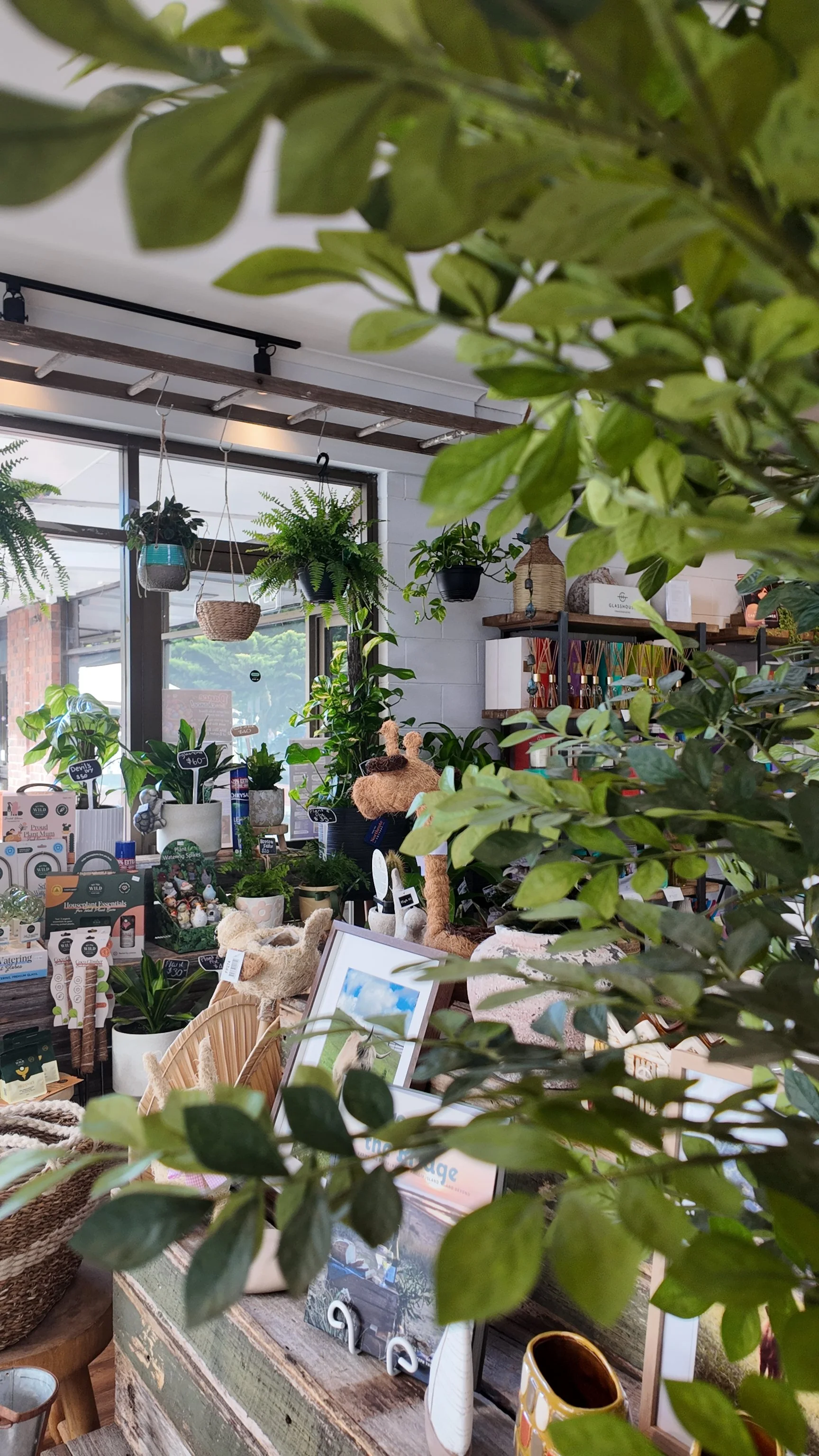 Display of plants and decorative items on shelves and tables inside a store, with hanging planters, framed pictures, and plush toys amidst greenery.