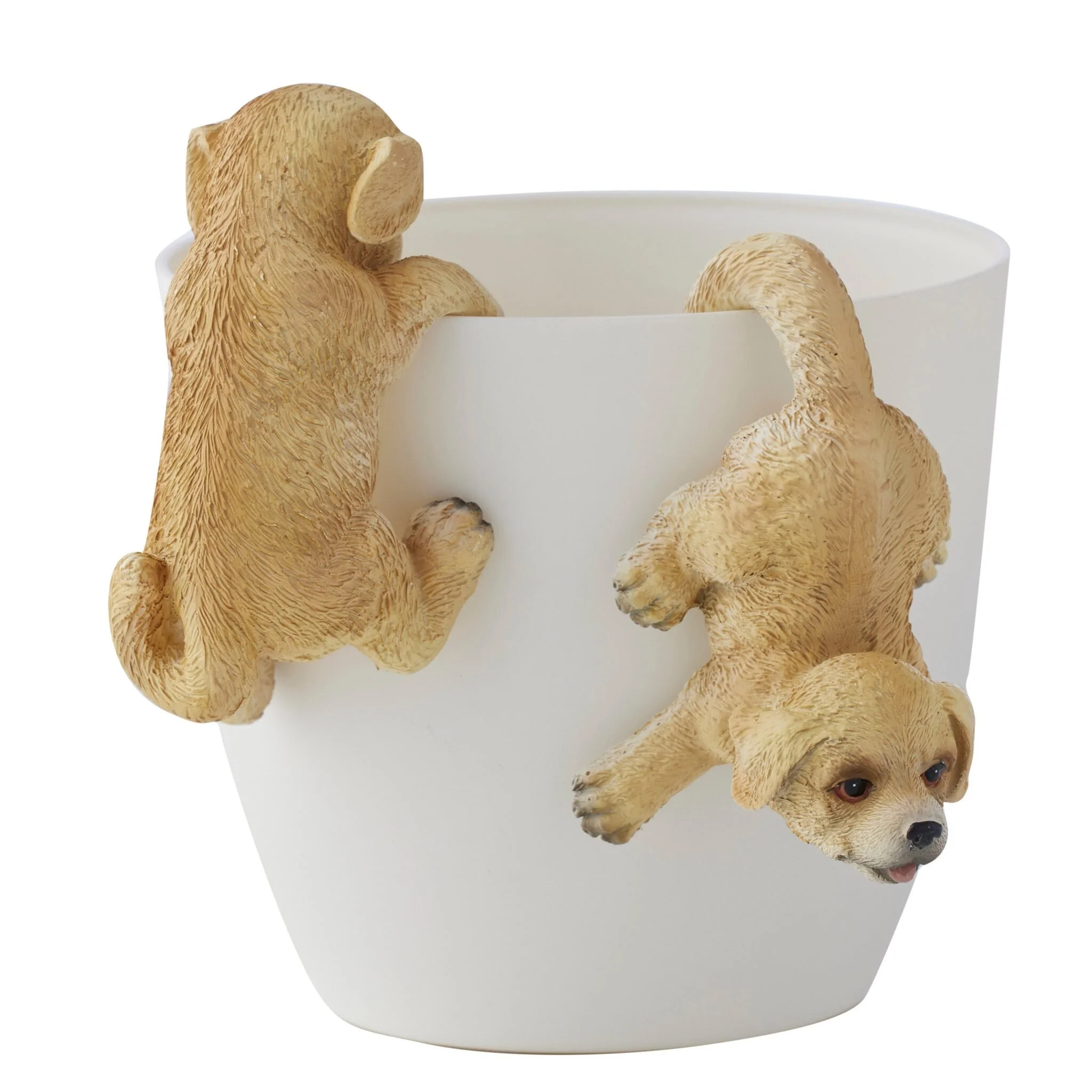69409DOG_1-2048x2048.jpg