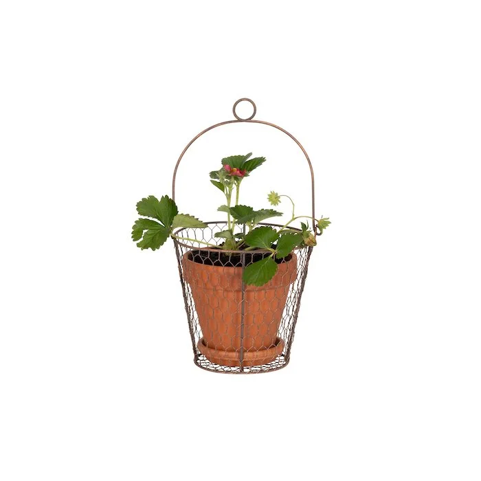 [26835] Wire Pot Cover with handle 20cm-.jpg
