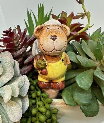 bear spike.jpg