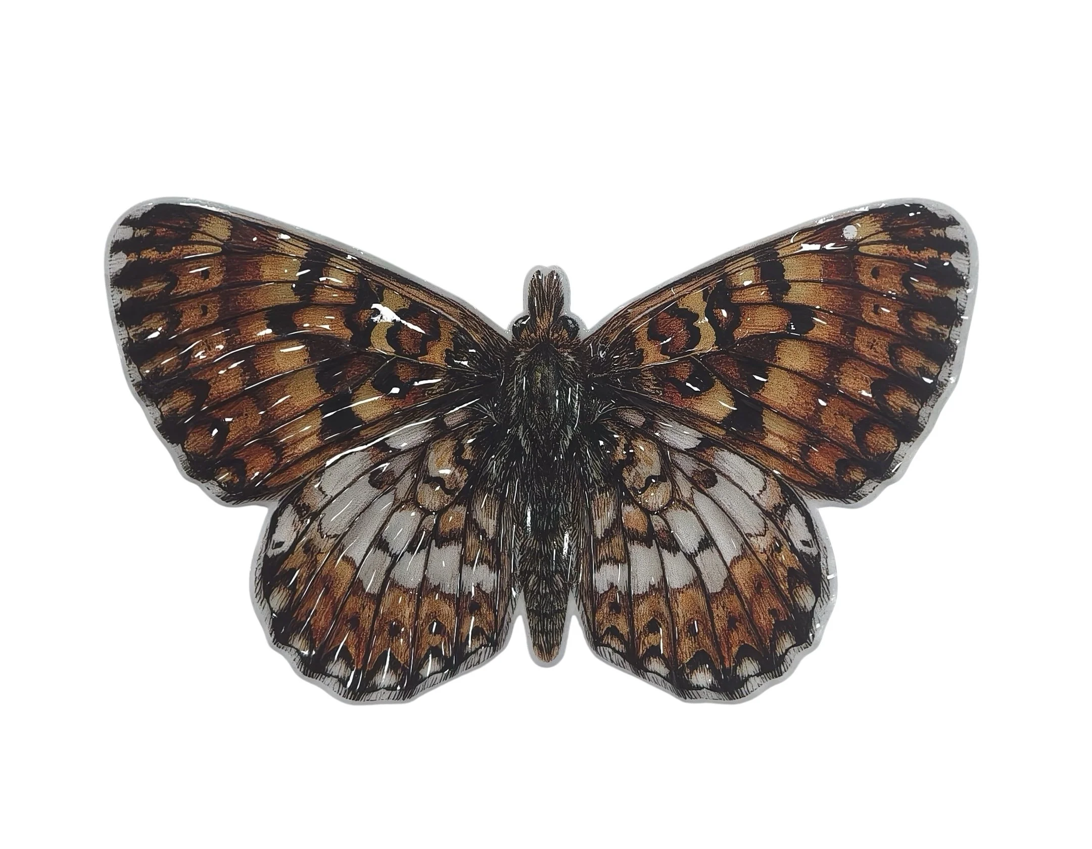 butterfly tiger print.jpg