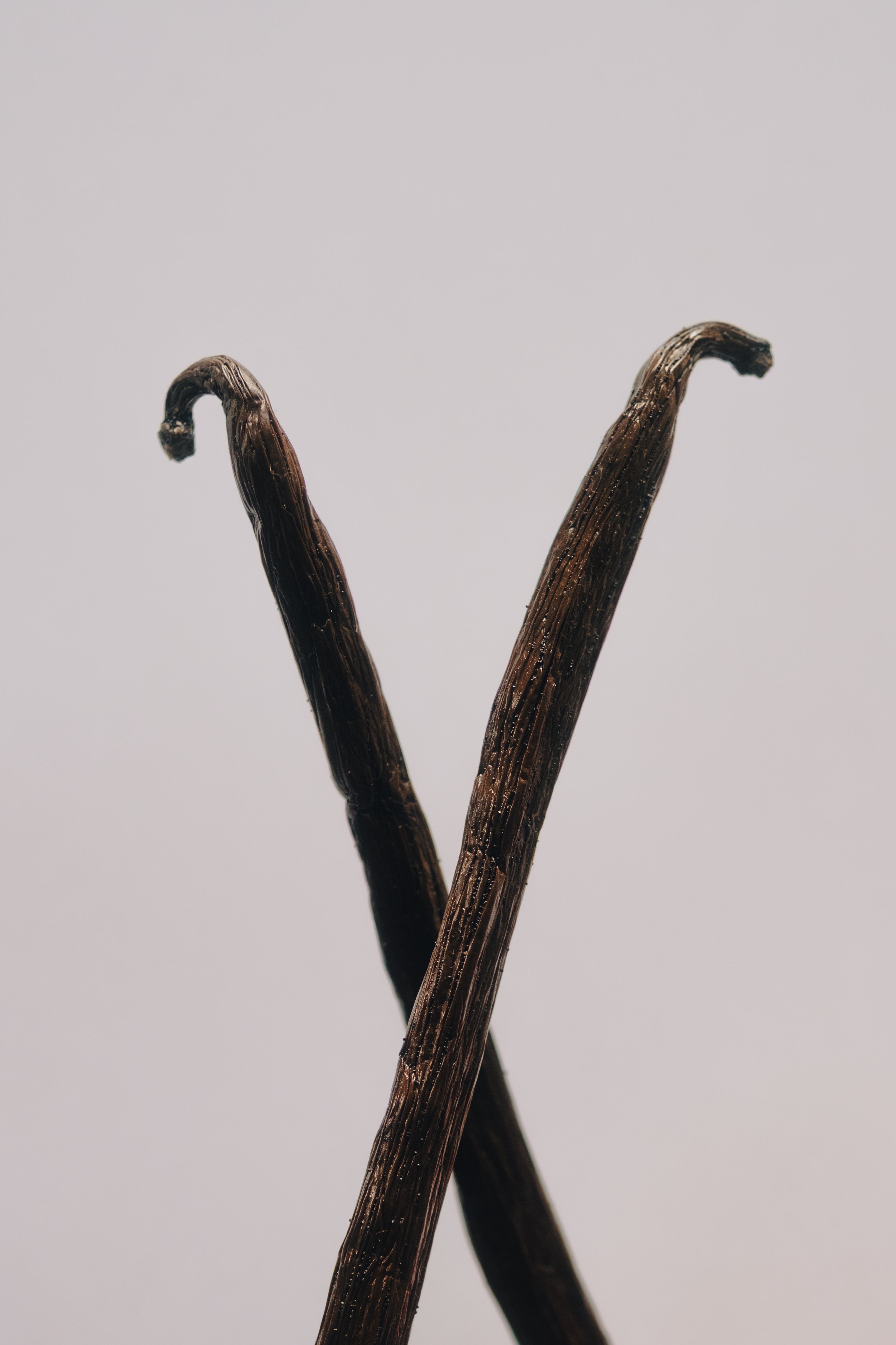 Deux branches de bois fin et courbé se croisent, foncées avec une surface lisse et brillante, sur un fond gris clair.