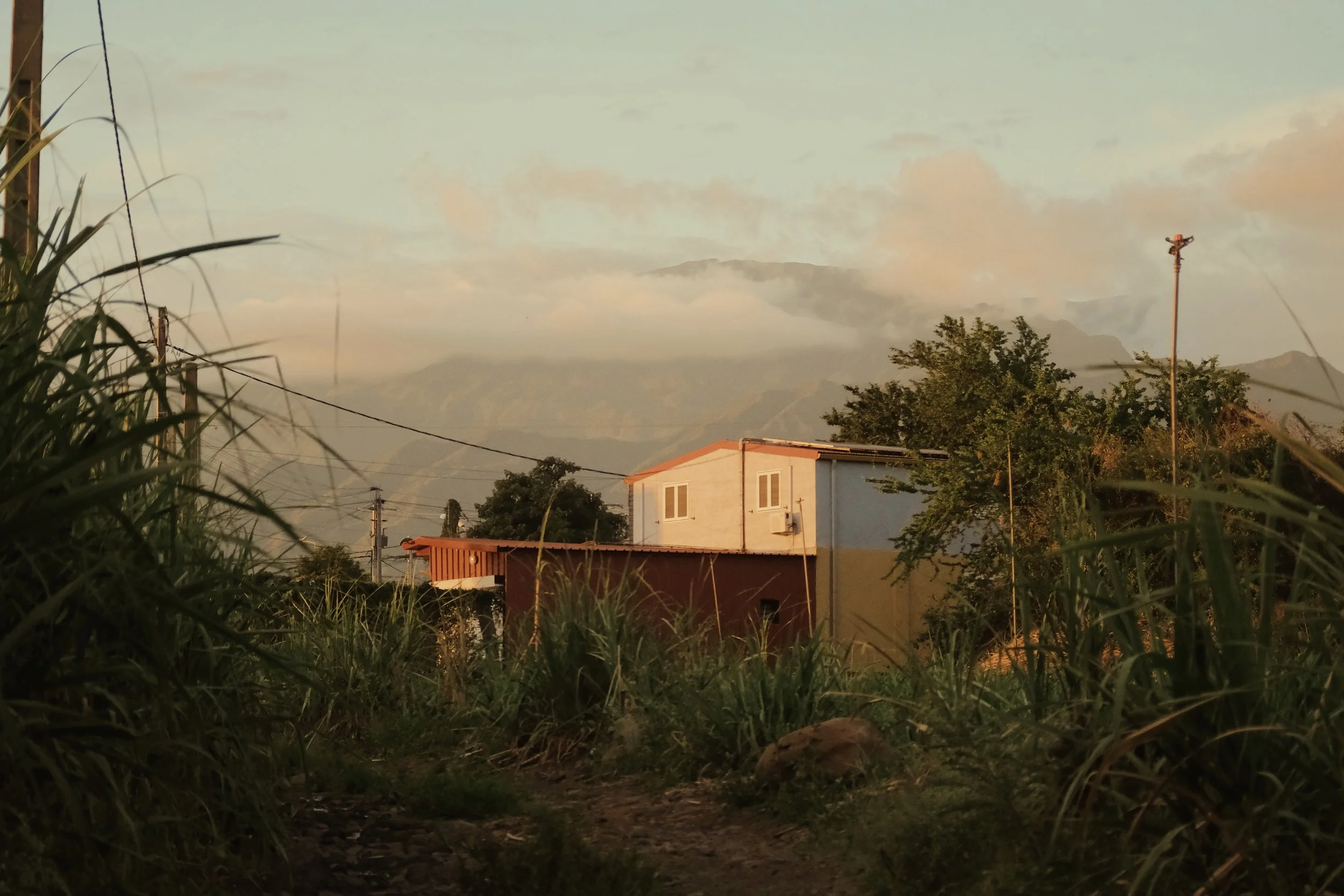 DSCF2269.jpg