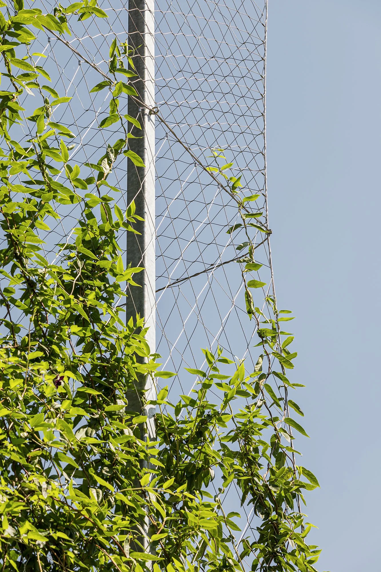 ASI Reisen Headquarters, Natters, Snohetta Studio Innsbruck, Christian Flatscher, Architekturfotografie, Fotografie, Architektur, Tirol