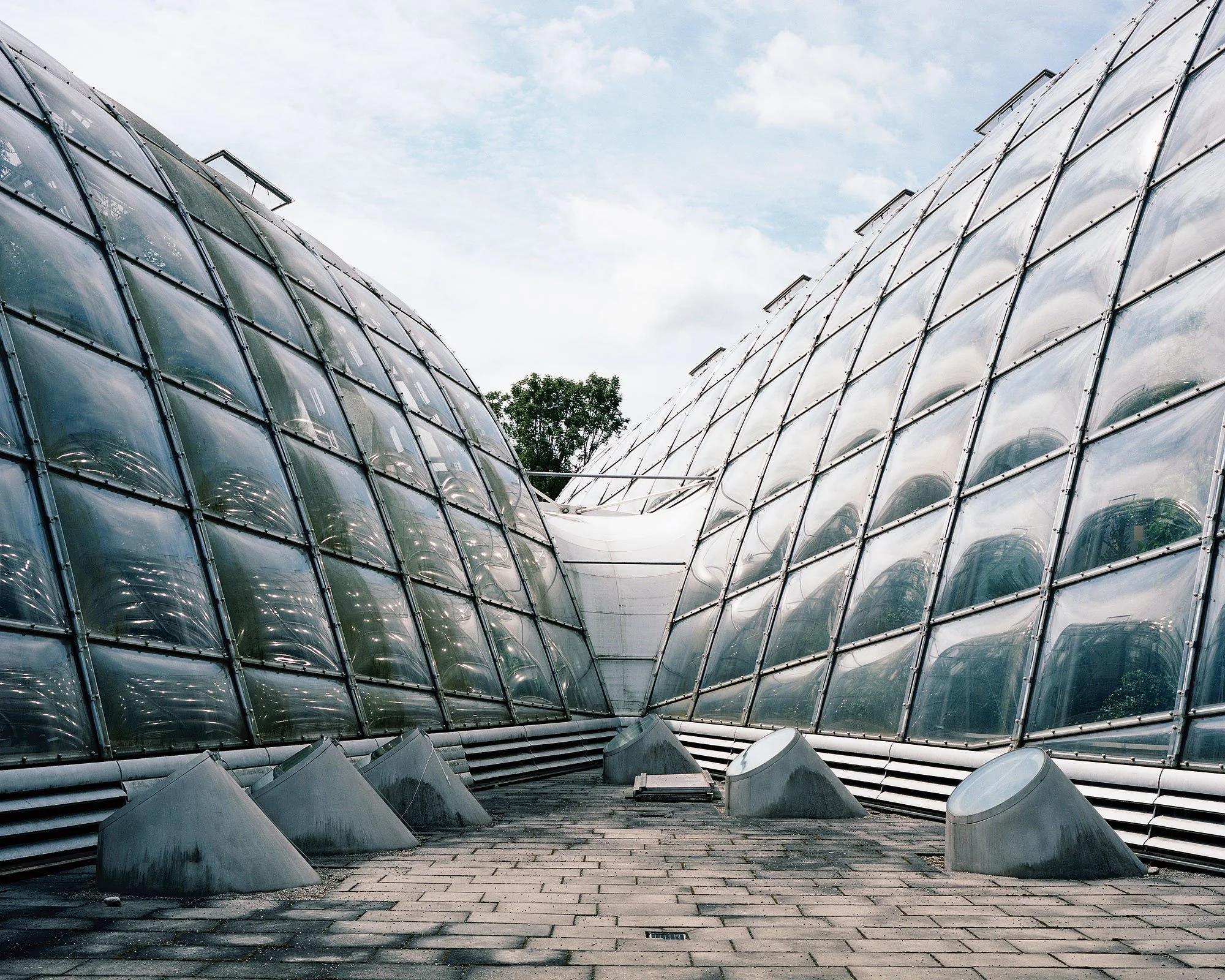 Gewächshäuser, Graz, Mamiya 7, analoge Fotografie, Christian Flatscher