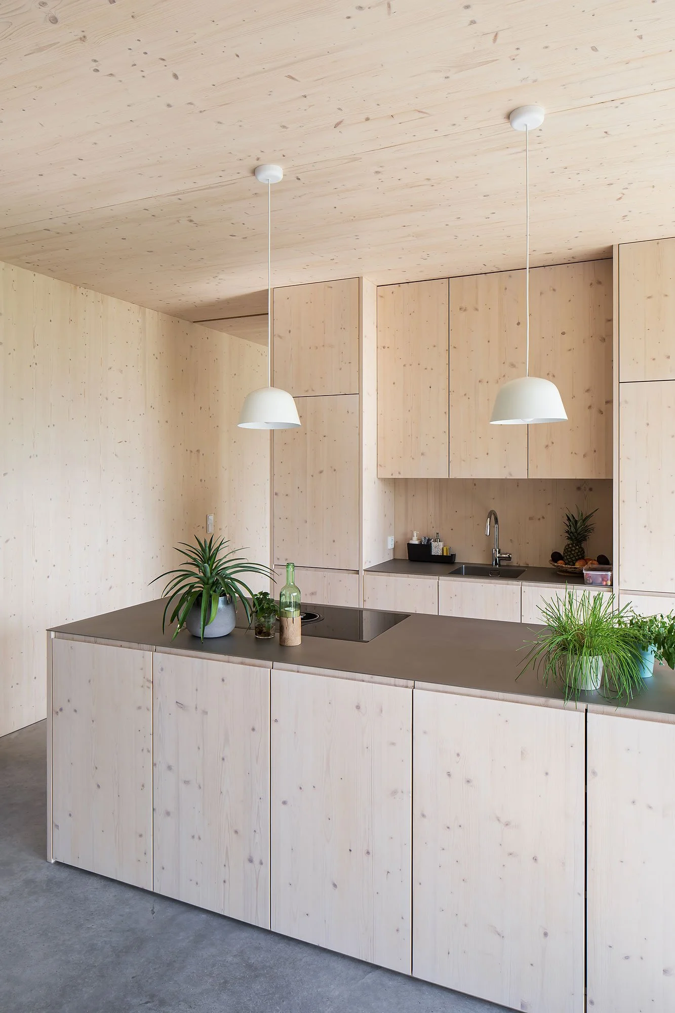 Mountain House, Oberschlierbach, Sigurd Larsen, Christian Flatscher, Architekturfotografie, Fotografie, Architektur, Oberösterreich