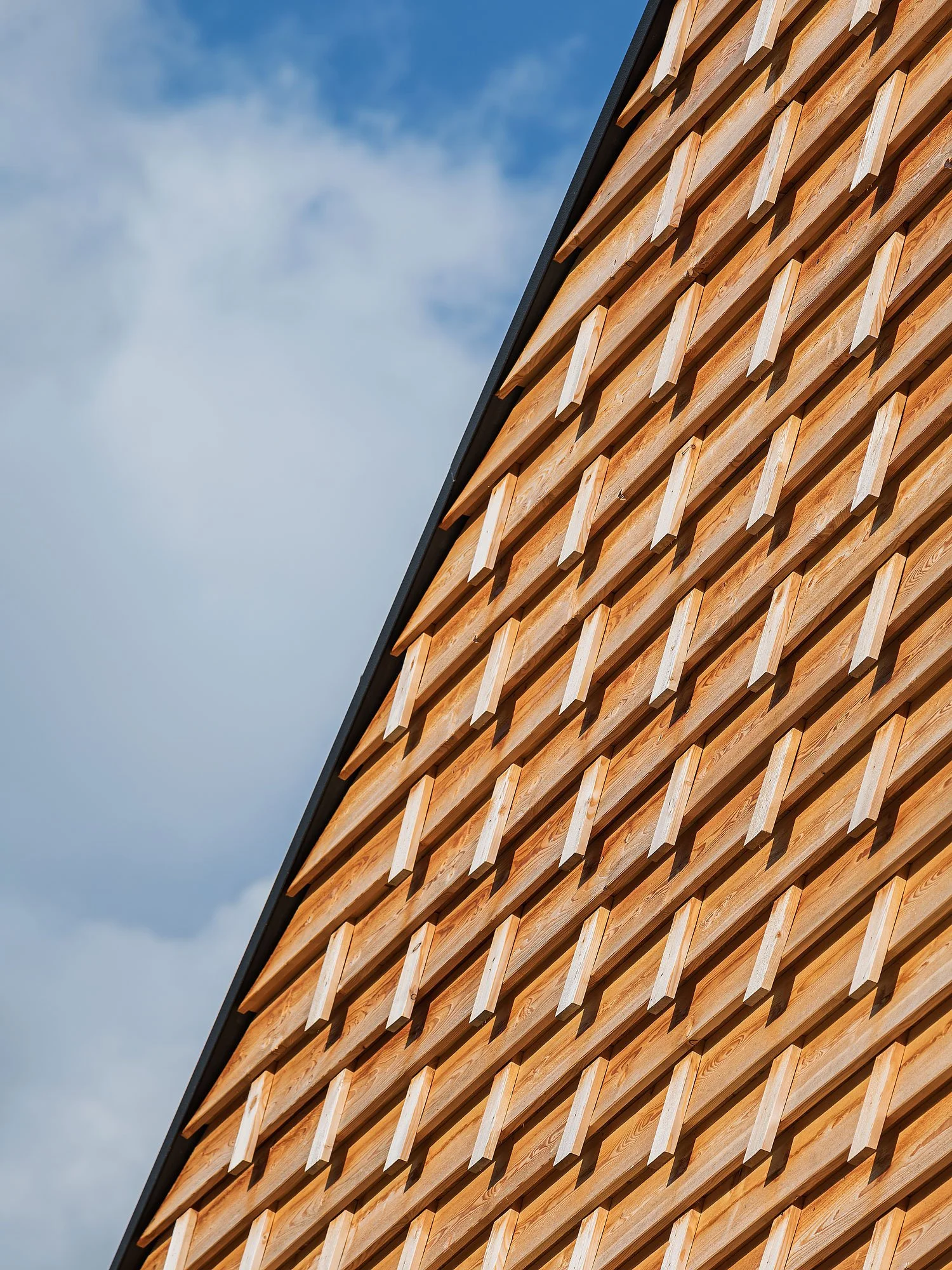 Volksschule Navis, Navis, Johannes Nägele, Christian Flatscher, Architekturfotografie, Fotografie, Architektur, Tirol