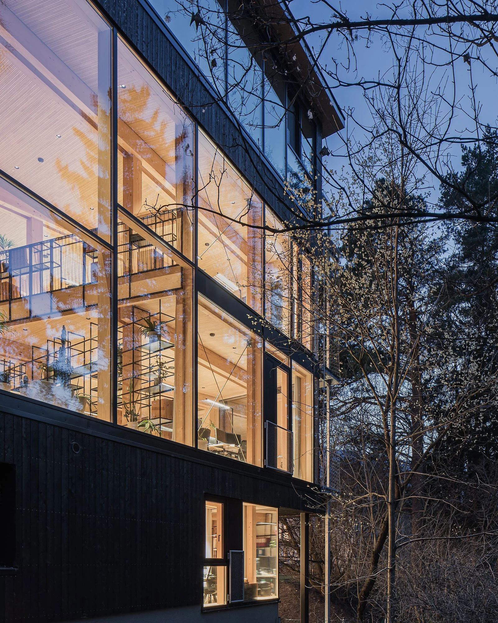 ASI Reisen Headquarters, Natters, Snohetta Studio Innsbruck, Christian Flatscher, Architekturfotografie, Fotografie, Architektur, Tirol