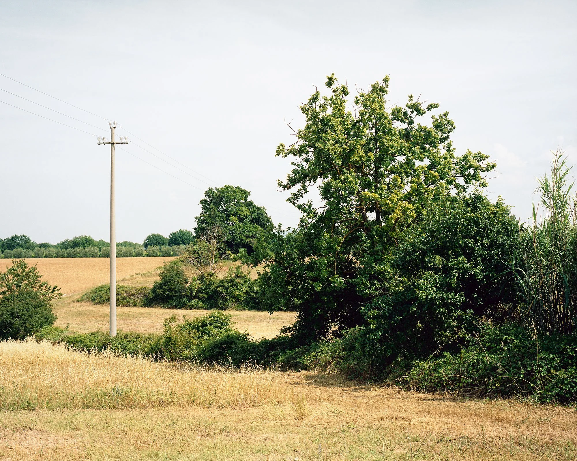 Landschaft, Toskana, Mamiya 7, analoge Fotografie, Christian Flatscher