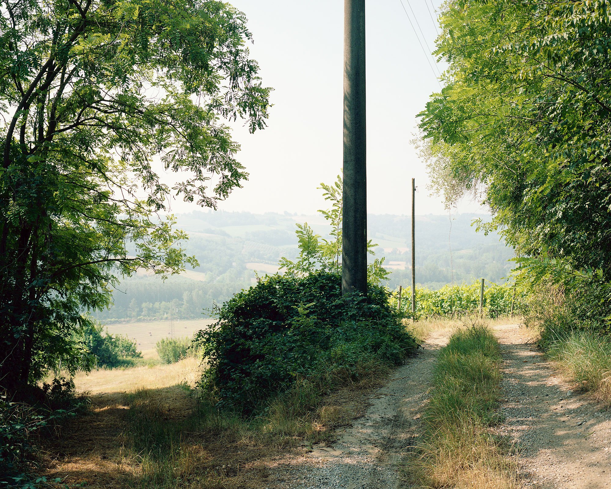 Landschaft, Toskana, Mamiya 7, analoge Fotografie, Christian Flatscher