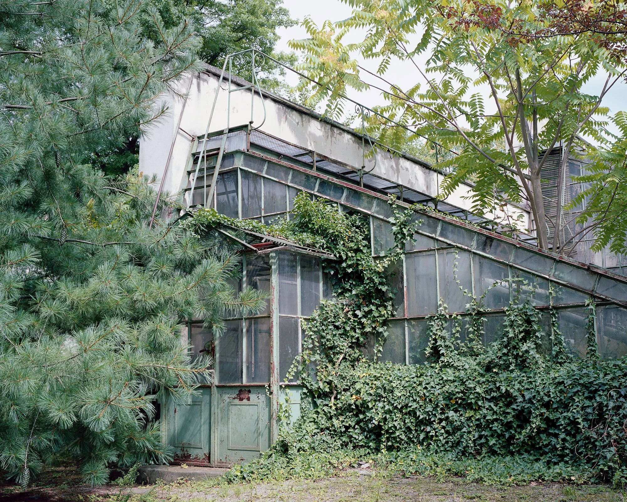 Altes Gewächshaus, Graz, Mamiya 7, analoge Fotografie, Christian Flatscher