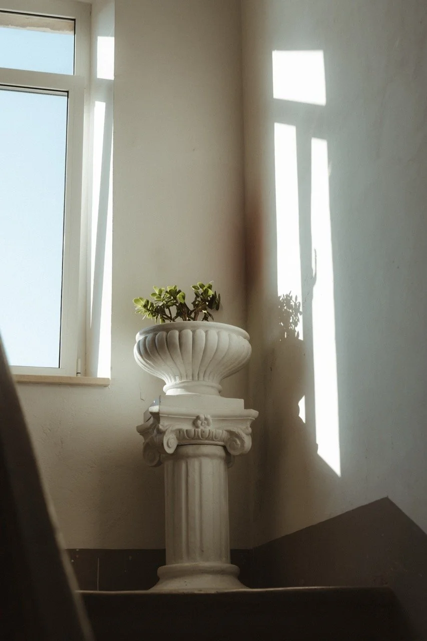 Groß (_2319576).jpeg