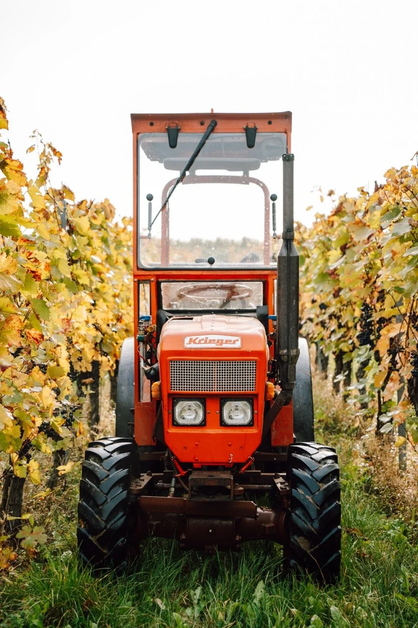 Groß (AMT02933).jpeg