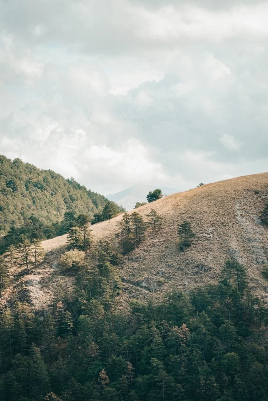 Groß (4444A775-4A64-45AF-9F31-CB286F864ABC).jpeg