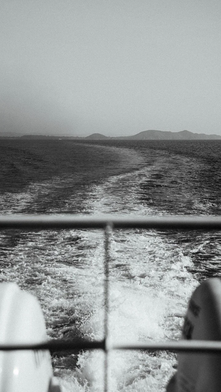 Groß (23107644).jpeg