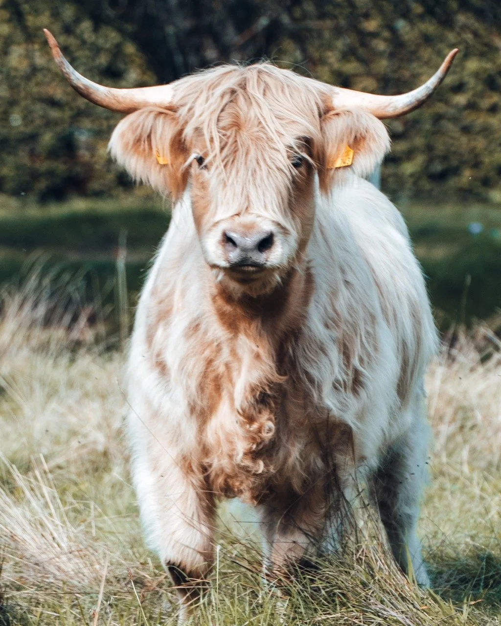 Groß (23100832).jpeg