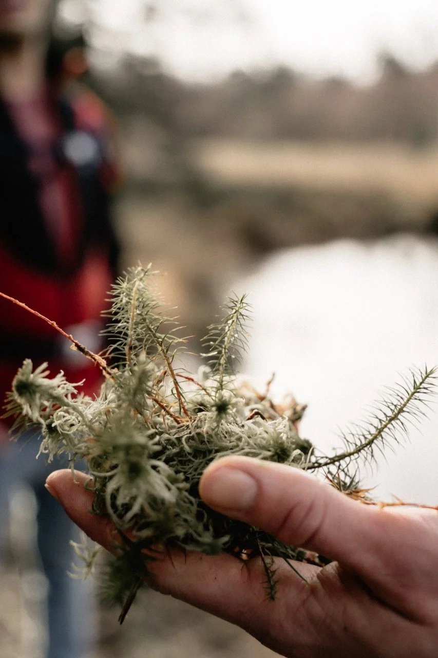 Groß (ATN08041).jpeg