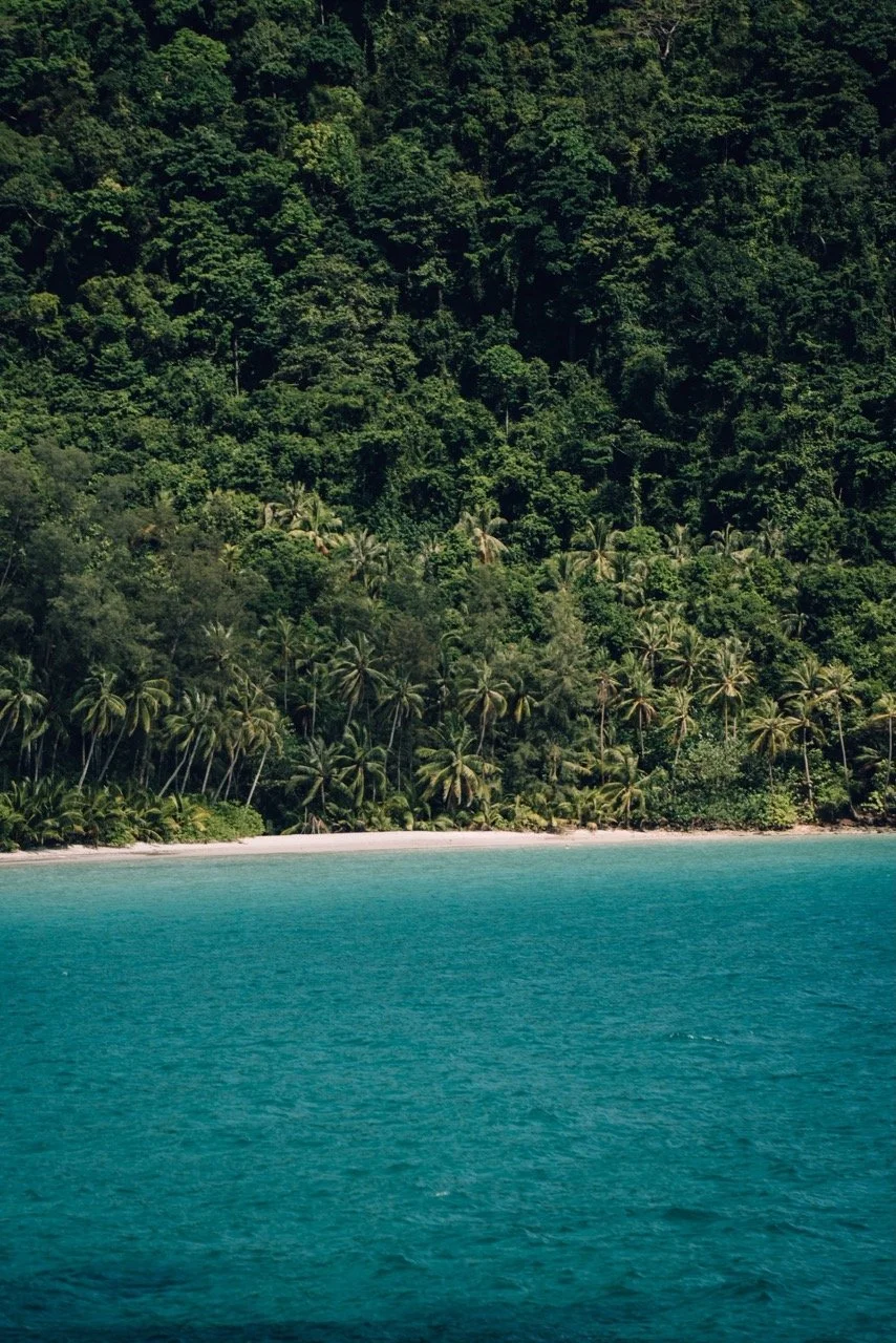 Groß (_ATN3023).jpeg