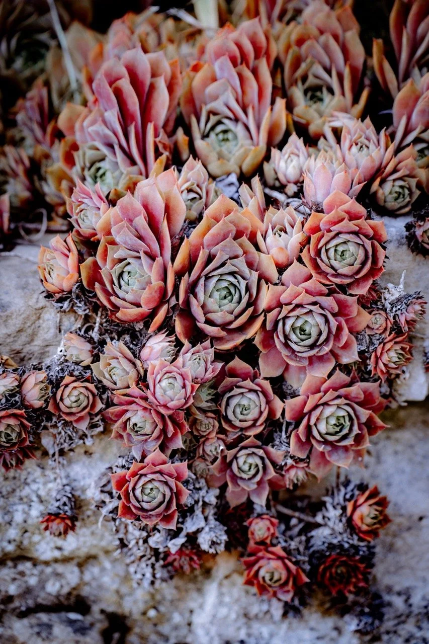 Groß (2024-08-03_18-16-20).jpeg