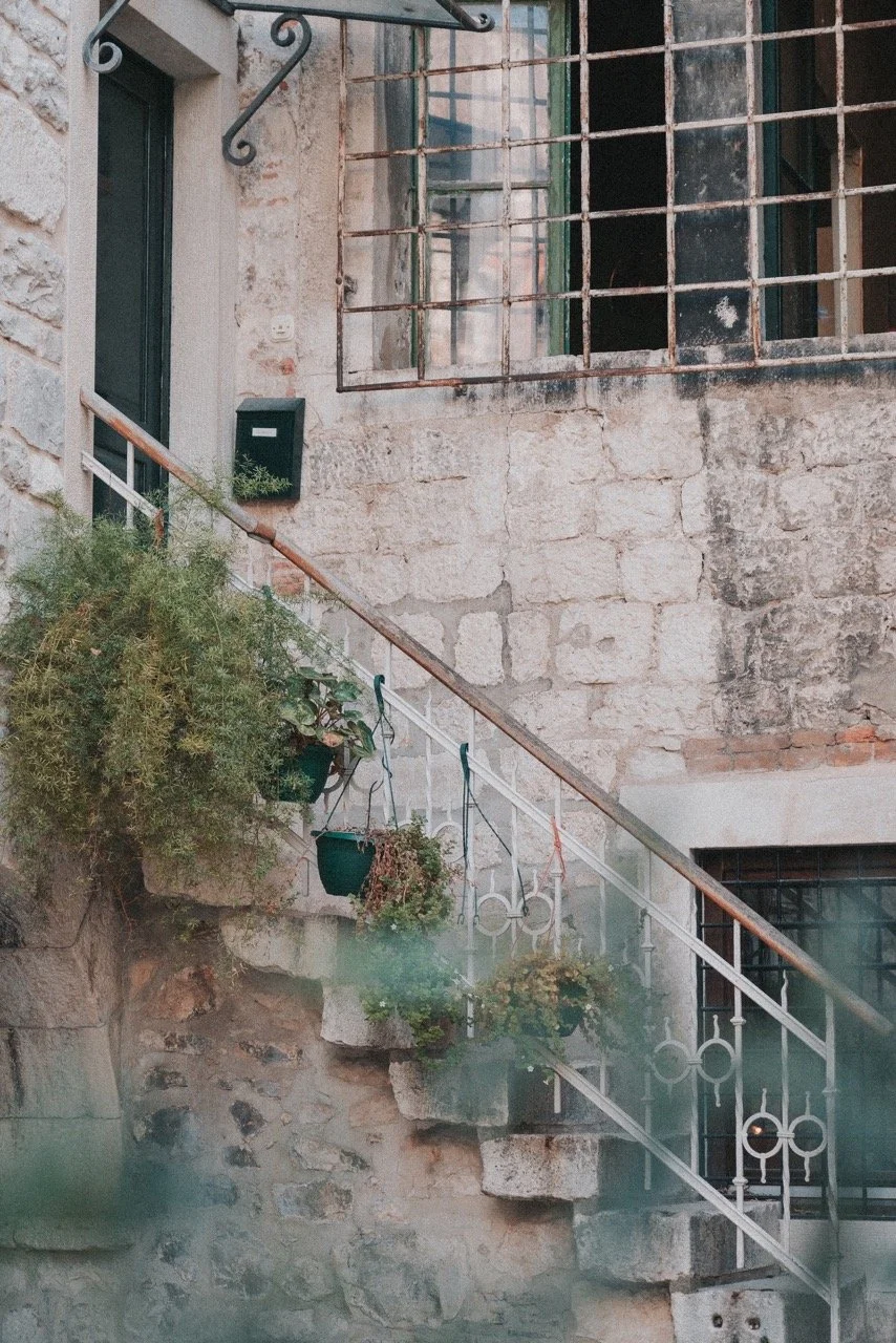 Groß (_DSC8046).jpeg