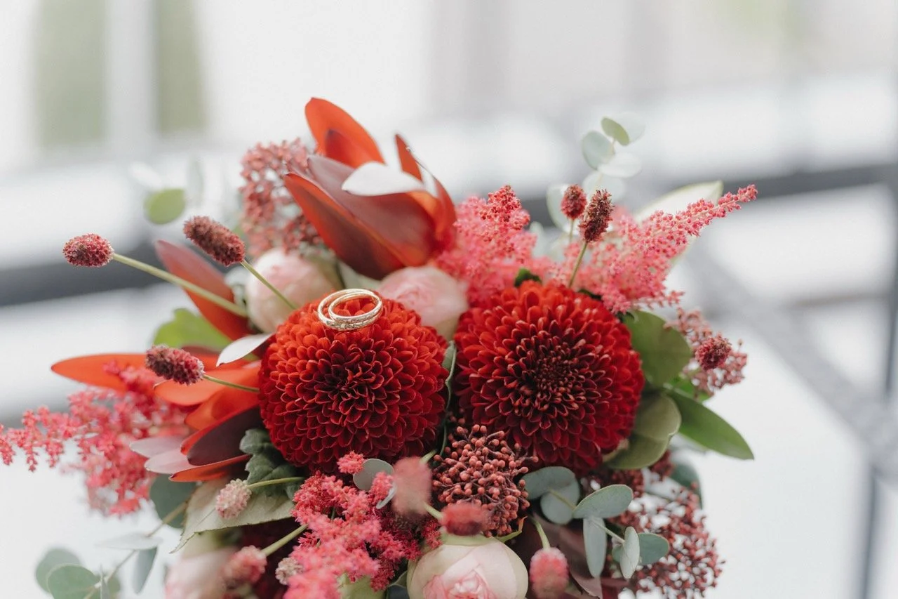 Groß (Pic0021).jpeg