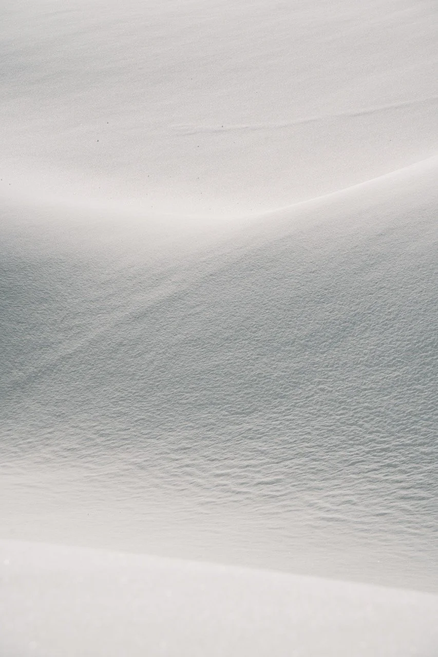 Groß (AMT04530).jpeg