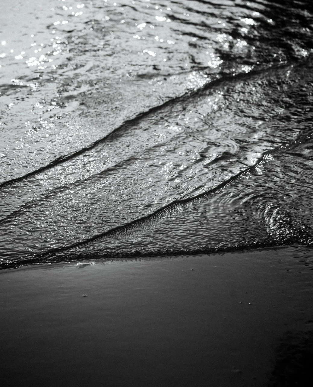 Groß (23107306).jpeg