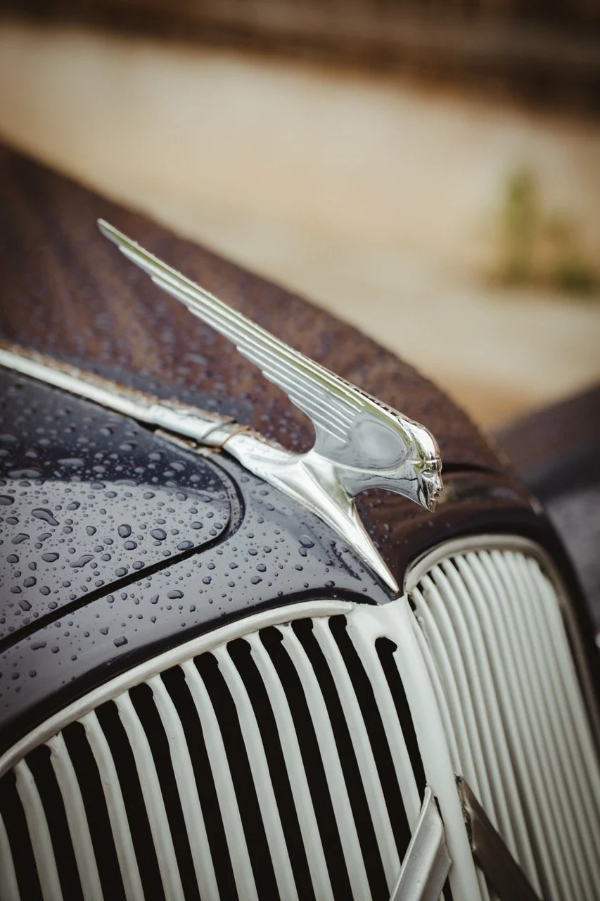 Groß (2024-06-01_18-03-39).jpeg