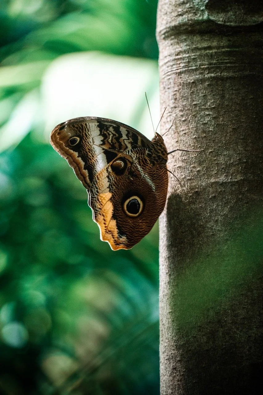 Groß (23109614).jpeg