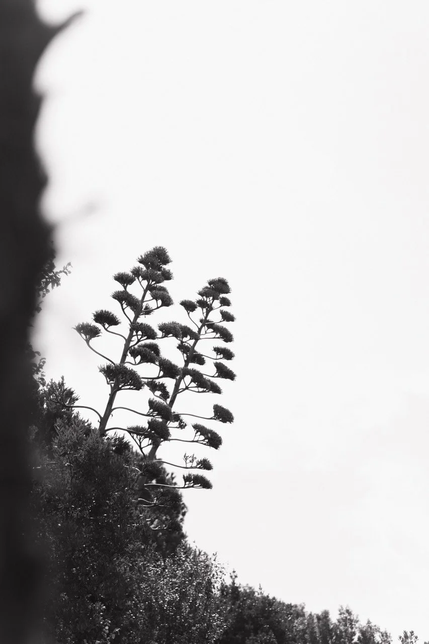 Groß (_2315323).jpeg