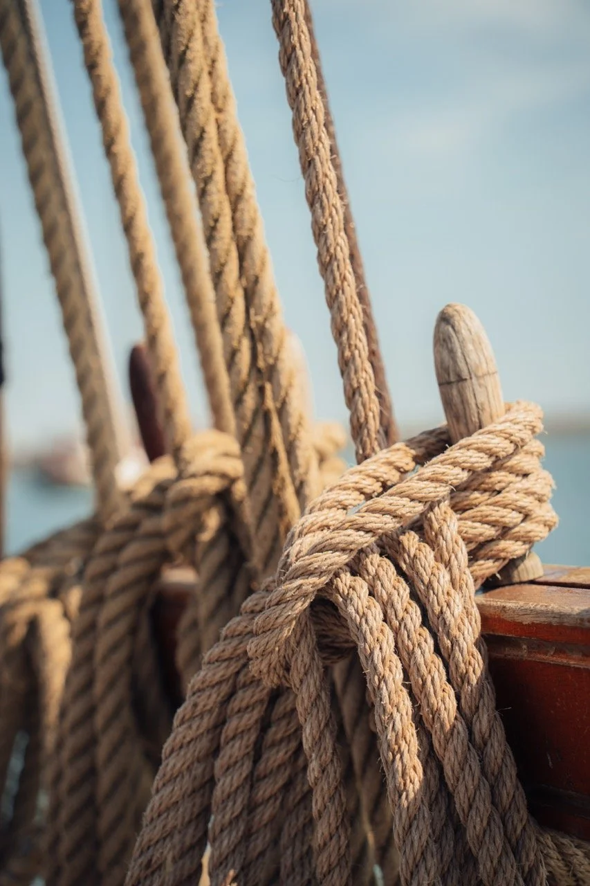 Groß (AMT07486).jpeg