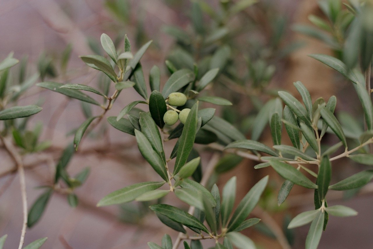 Groß (13-07-58).jpeg