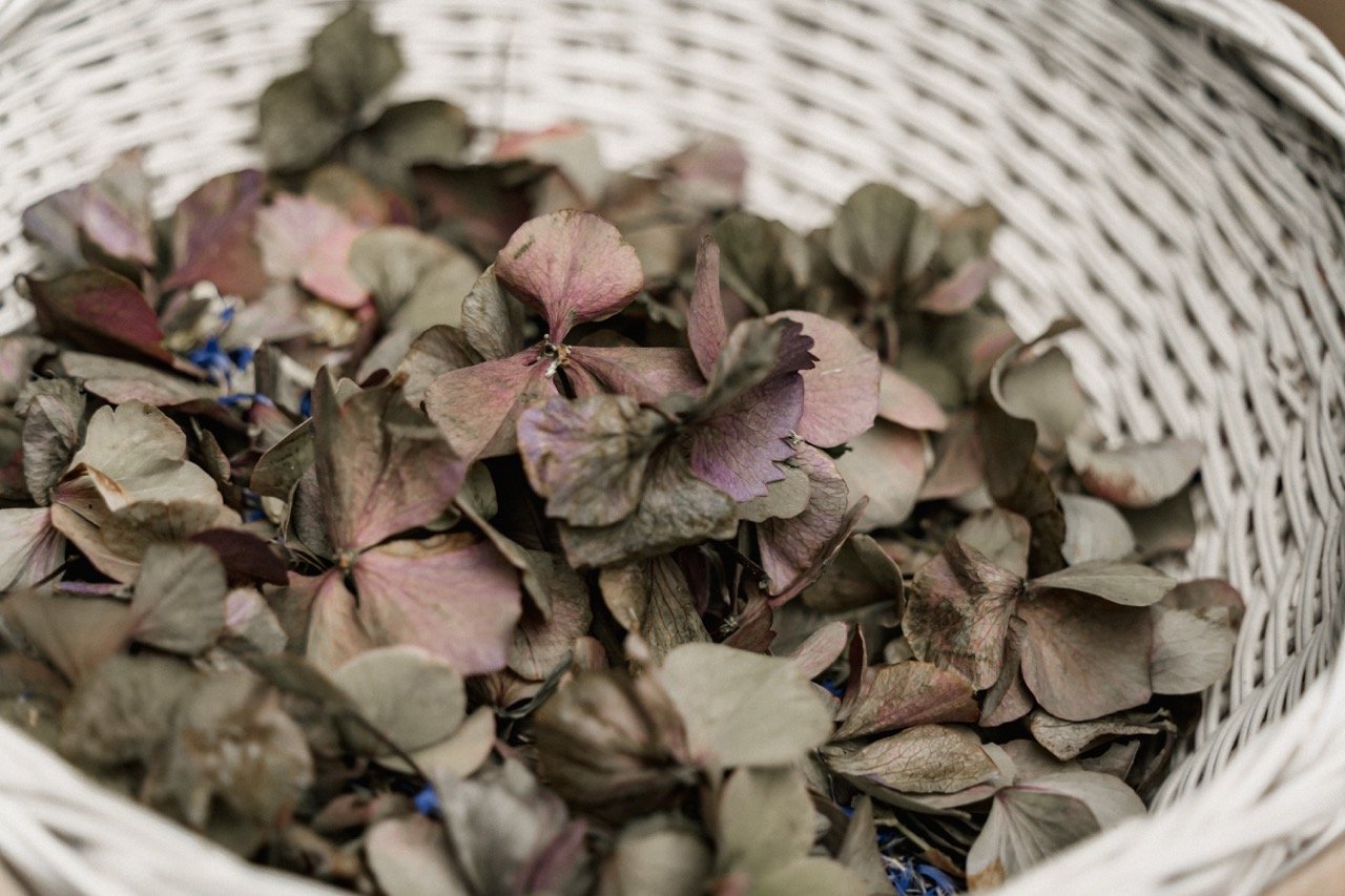 Groß (20220827_13-44-57).jpeg