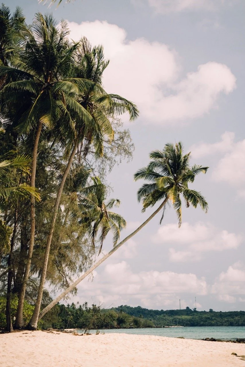 Groß (_ATN3063).jpeg