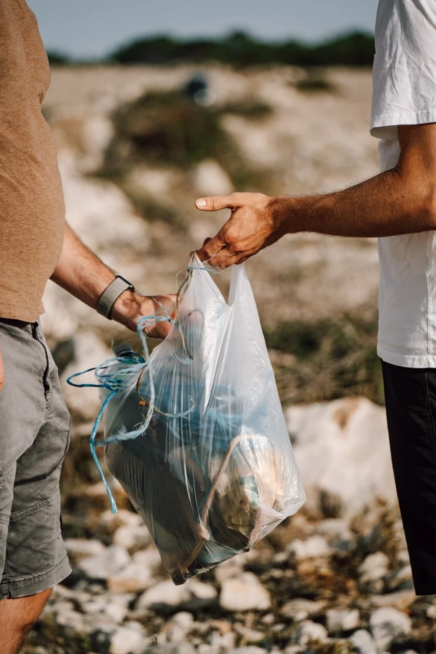 Groß (ATN05003).jpeg