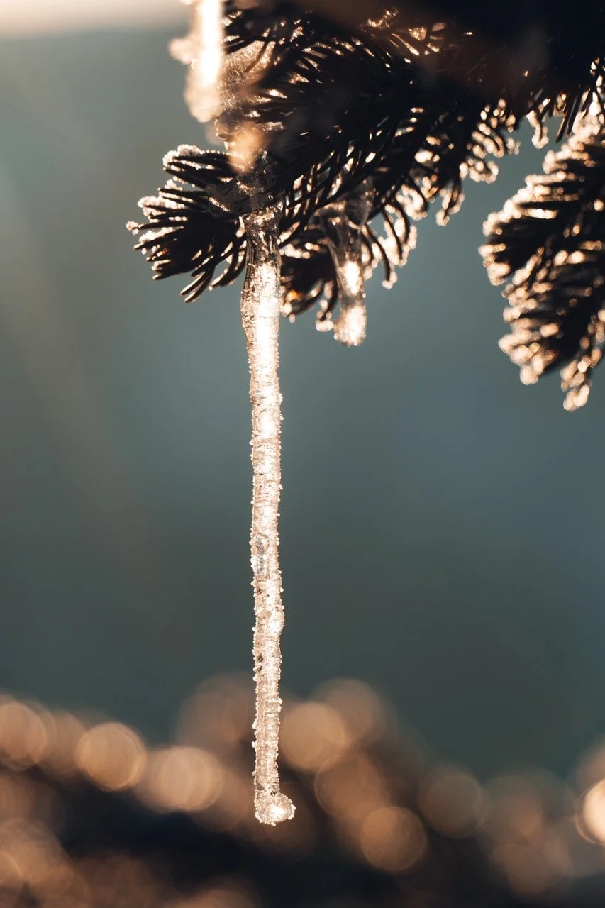 Groß (ATN08760).jpeg