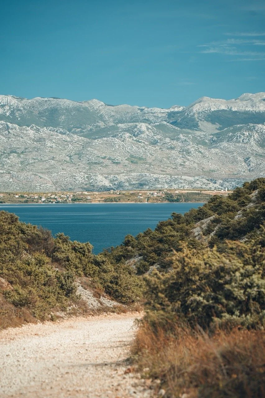 Groß (ATN04843).jpeg