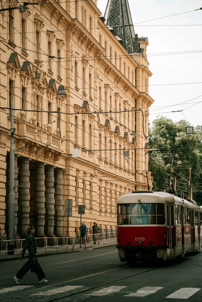 Groß (23109378).jpeg