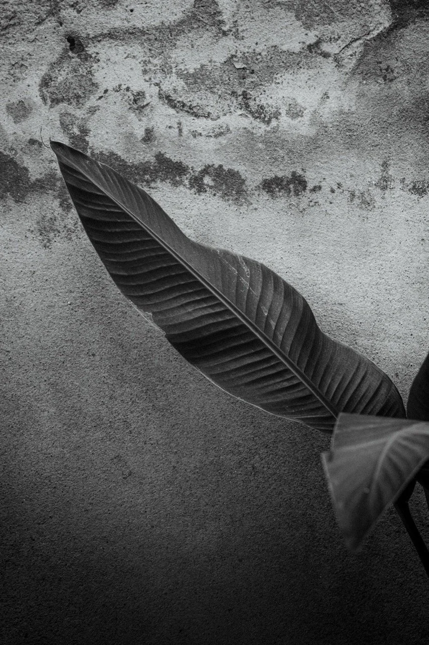 Groß (23105944).jpeg