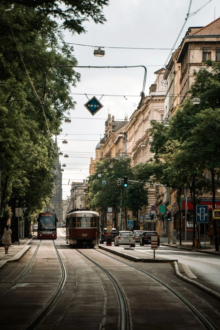 Groß (23109369).jpeg